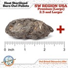 Obdk Barn Owl Pellets Activity - 1 Pack Jumbo Sized  2 0 -larger  With Tools