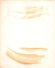 Hollywood Beauty Lucille Ball   Desi Arnaz Stunning Portrait 1950s Photo C37