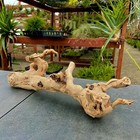 Sandblasted California Grapewood Branch  18   