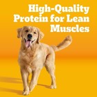 Pedigree Adult Dry Dog Food Roasted Chicken   Vegetable Flavor 18 Lb  Bag