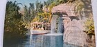 Disneyland Postcard Magic Kingdom Safari Cruise Unp C 1959