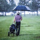 Travel Umbrella Automatic Open close  Repel Rain Resistant Canopy Teflon Coating