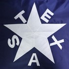 Heavy Duty Zavala De Lorenzo Texas Flag 3x5 Ft -longest Lasting Oxford Nylon    