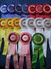 Dressage Horse Show Ribbons Awards Equestrian Events Center Streamers Cut Off