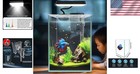 Elegant 1 5 Gallon Mini Fish Tank With Filter   Led Lights - Betta Ready
