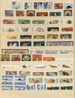 Papua New Guinea 1965-1988 Period Complete Sets On Stock Pages  All Nh vf 
