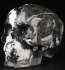 2 5  Zebra Jasper Carved Crystal Skull  Realistic  Crystal Healing