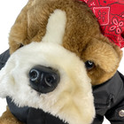 Dan Dee Collectors Choice Plush Bulldog Biker With Jacket Stuffed Animal 17in