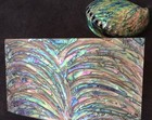 1x Abalone Sheet Veneer Inlay 9 1 2 x5 1 2 x1 64   240x140x0 4mm  B04
