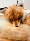 Vintage Steiff Ringel Fox Curled Up Position Lying On Tail Plush Red Fox