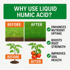 Organic Liquid Humic Acid 1 Gallon Concentrate