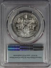 2006-w  100 Burnished Platinum American Eagle Statue Of Liberty 1 Oz Pcgs Sp70