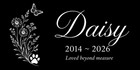 Personalized Dog Cat Memorial Stone Granite Grave Marker Photo Engraved 6x12