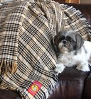 5 a Baker   Afghan 50  X 70  Baker Plaid