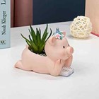Handcrafted Decorative Resin Pig Planters  Figurines Courtyard Garden Home Decor