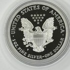 2000 P Silver Proof Eagle Bullion Coin W  Ogp   Coa Free Shipping