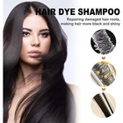 Instant Black Hair Dye Shampoo For Women   Men 3 In 1 Magic Hair Color Shampoo