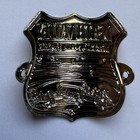 Death Valley National Park Hiking Stick Medallion Ca Nv Souvenir