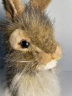 Handcrafted Hansa 11    Jack Rabbit Bunny Realistic Stuffed Animal Plush 2012