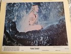 King Kong Original 8  X 10  Lobby Card Set Of 8  1976    Jessica Lange   Rare 