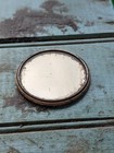 Dr Daniels Horse Celluloid Veterinarian Medicine Advertising Mirror Auburn Ny
