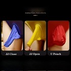 High Elastic Oil Glossy Bodysuit Sheer See Through Bodystocking Jumpsuit Catsuit