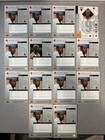 Michael Jordan Lot