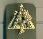 Alpha Gamma Delta Sorority Frat Gold Pearl Wisconsin Pin Badge - Wow 
