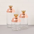 Ruffoni Glass Canisters With Lotus Knob Set-williams Sonoma 47224