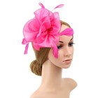 Women   s Fascinator Hat Tea Party Headband Feather Flower Wedding Cocktail Clip