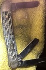 Casexx Pocket Knive 10318 3 Blade Stockman