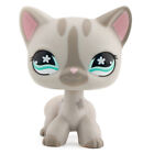 Mini Pet Shop Lps Figure Shorthair Cat  468 Baby Love Cute Giftlittlle Doll Toy