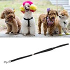 Pet Cat Clip Rope Adjustable Harness Leash Rope Bathing Shower