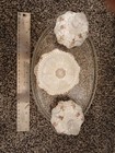 Fenton  Signed  Vanity Dresser Set With 2 Perfume Bottls  Powder Box Jar Tray