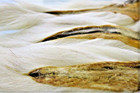 Supplyit 3 Large Northern Bucktail Natural White Fly Tying Material Deer Hair