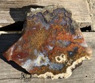 Cathedral Moss Agate Rough Slab Mexico Lapidary Cabbing