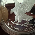 2025 American Silver Eagle  1 1 Troy Oz 999 Fine Silver Brilliant Uncirculated