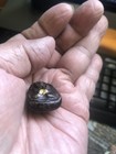 Thai Buddha Amulet