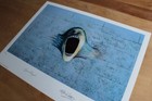 Pink Floyd Limited Edition  the Scream  Lithograph  from The Wall Movie 