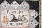 Halloween Fabric Panel Quilt Top 54  X 44  Black Hat Apothecary Stacey Day Rare 