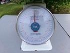 Mechanical Dial Scale 100 Lb Model Lj-100lb