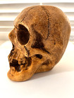 Randotti Original Large Skull   817 Rounded Chin Still Glows In The Dark