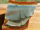 Tcr Polychrome Jasper agate lapidary Rough Slab 100 Grams