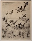 Listed American Artist Frank Weston Benson Signed Original Etching Wild Life