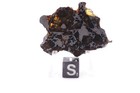 Nwa 10023 Pallasite Meteorite  Etched End Cut  Weight  18 28 Grams   1 75 Inch