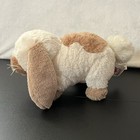 Ganz Webkinz Holland Lop Bunny Rabbit Plush Stuffed Animal Rare No Code Hm632