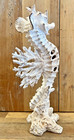 Seahorse  coral Design  Resin Statue 15 5  X 7 