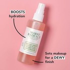 Mario Badescu Facial Spray With Aloe  Herbs And Rose 4 Fl Oz  pack Of 1 