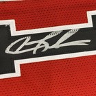 Framed Signed Dennis Rodman 35x39 Chicago Split Red black Jersey Bas Coa