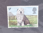Old English Sheepdog 9 Pence Postage Stamp Mounted And Matted 1979